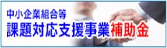 全国中央会：課題対応支援事業