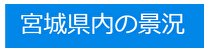 県内の景況